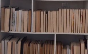 Como alguém organiza livros assim?